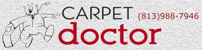 Carpet cleaning valrico fl